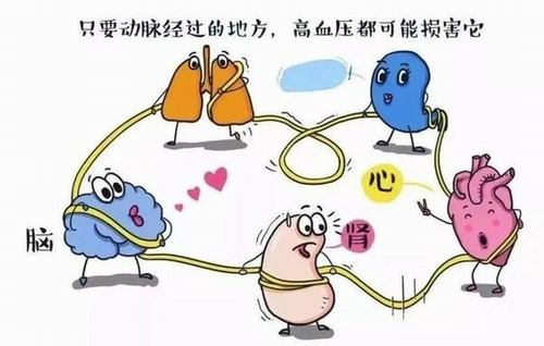 UG(й)ٷվ