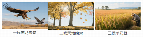 UG����(�й���)�ٷ���վ